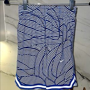 Nike Boys Dri-Fit Blue and White Shorts